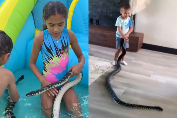 Morador da Flórida convive com 130 cobras dentro de casa - Reprodução/Instagram