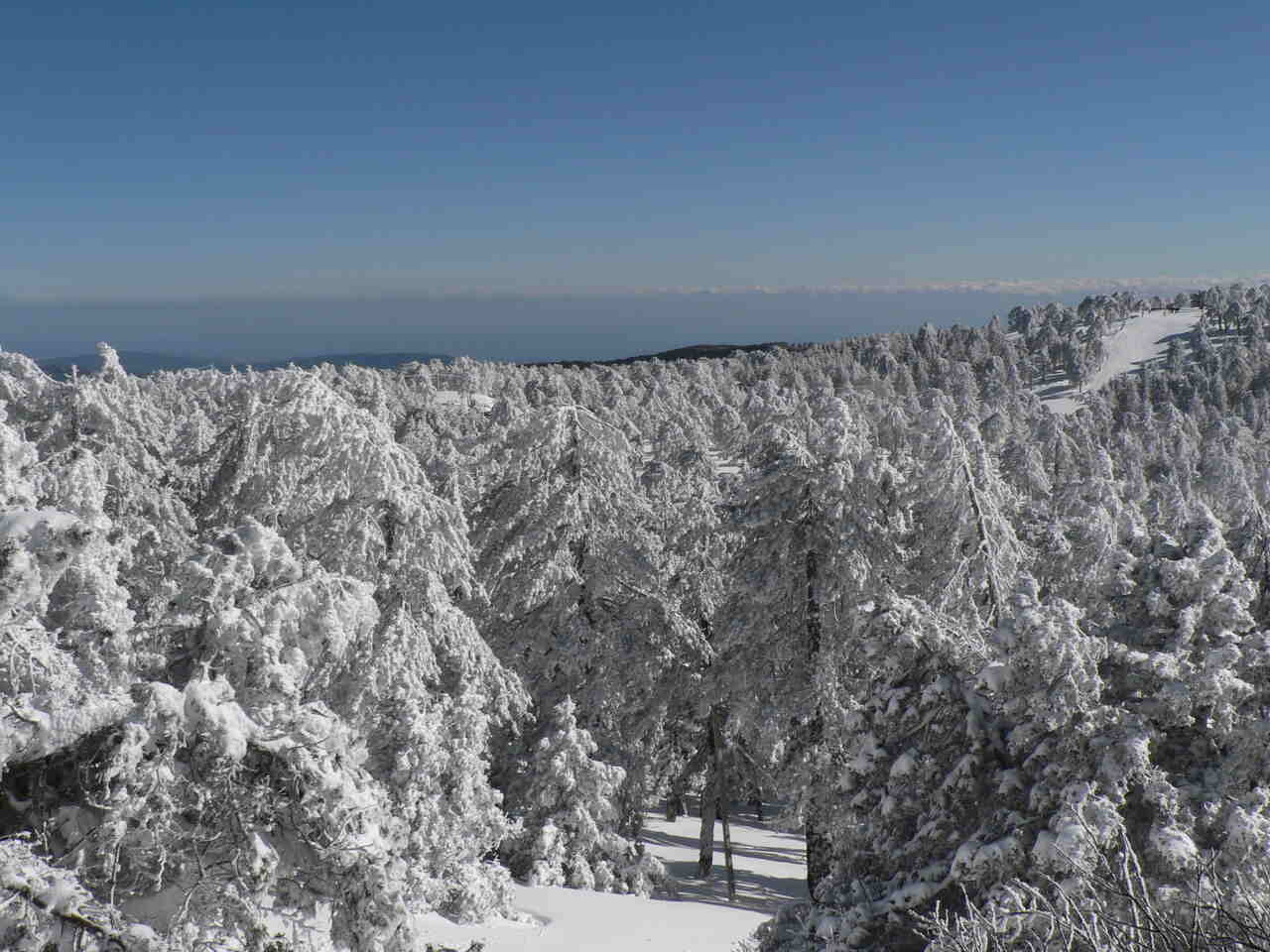 Montanhas Troodos: região montanhosa com trilhas, cachoeiras e vilarejos tradicionais. Ideal para caminhadas e observação da natureza.