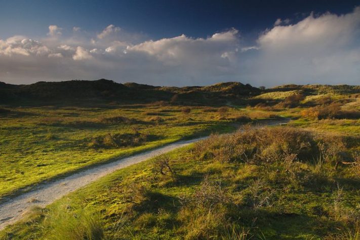 Parque Nacional Zuid-Kennemerland - Zandvoort, Holanda -- Wikimedia Commons/Jiří Komárek