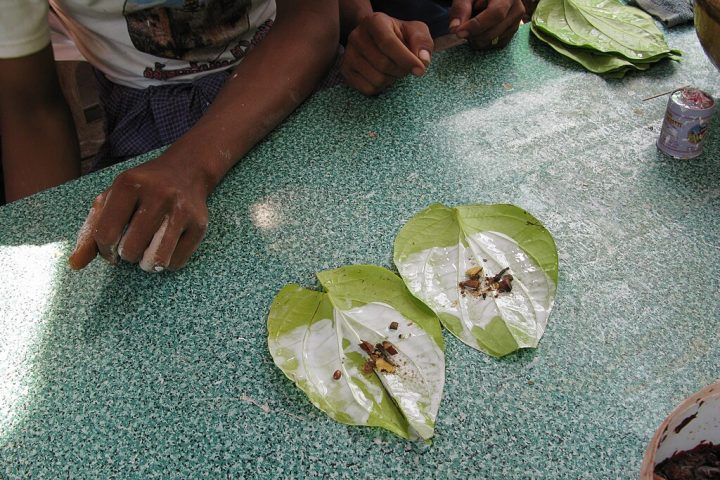 Geralmente, a noz é mascada em forma de um "quid" – uma mistura da noz fatiada com folhas de bétele, cal hidratada e, às vezes, temperos ou tabaco. 