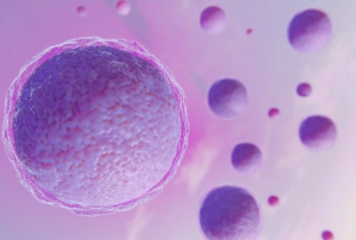 Óvulo - fertilização in vitro - Freepik 