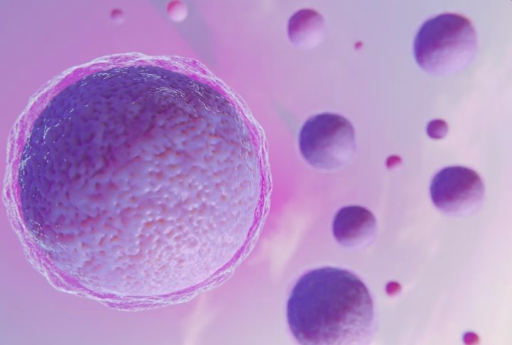A FIV é indicada principalmente para casais com dificuldades de engravidar por causas como infertilidade masculina, obstrução das trompas ou idade materna avançada.-Freepik 
