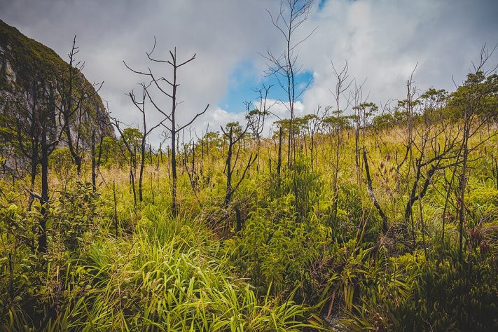 Parque Nacional da Serra do Cipó, Minas Gerais - Flickr - upslon
