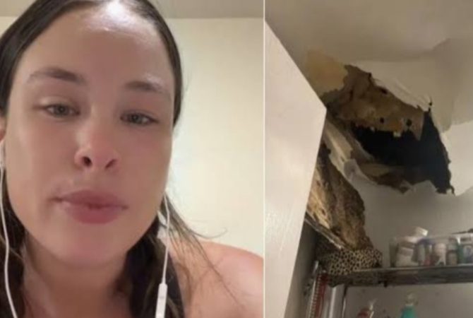 Teto desaba e baratas invadem apartamento em bairro ‘chique’