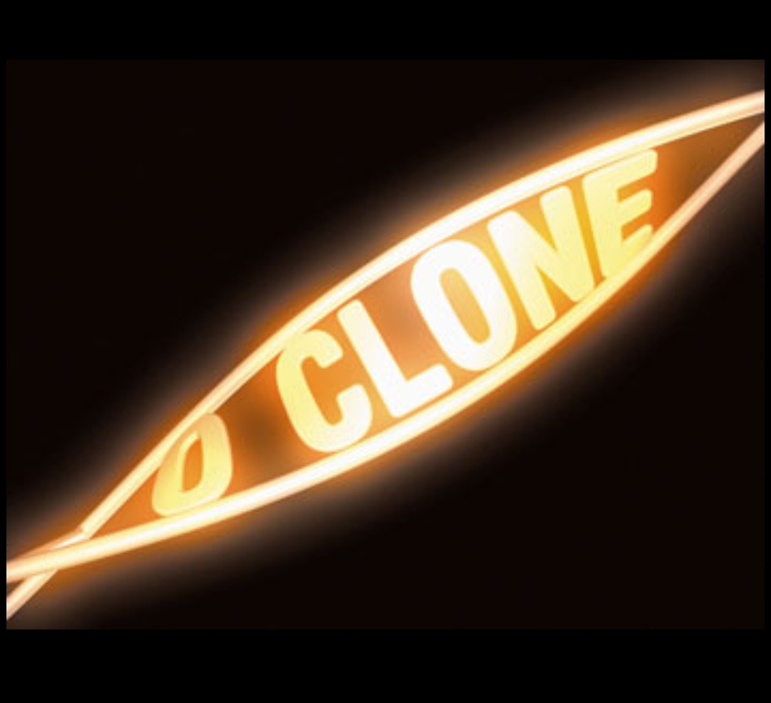 5º – O Clone (2001) – Dirigida por Jayme Monjardim e Marcos Schechtman; estrelada por Murilo Benício e Giovanna Antonelli. 