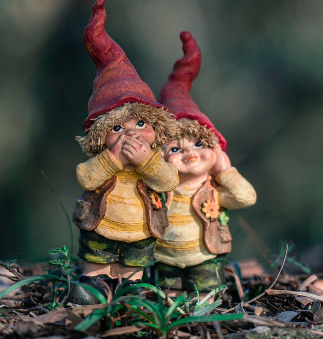 São descritos como pequenos seres, geralmente barbudos e com roupas simples, lembrando trabalhadores do campo. A imagem clássica inclui o chapéu pontudo vermelho.