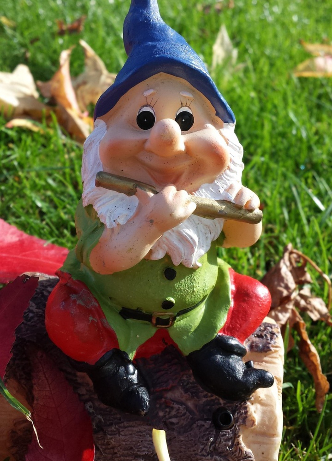 No folclore, acredita-se que eles vivem centenas de anos, sendo dotados de longevidade e vitalidade. Essa característica os aproxima do simbolismo de eternidade e resistência da natureza.