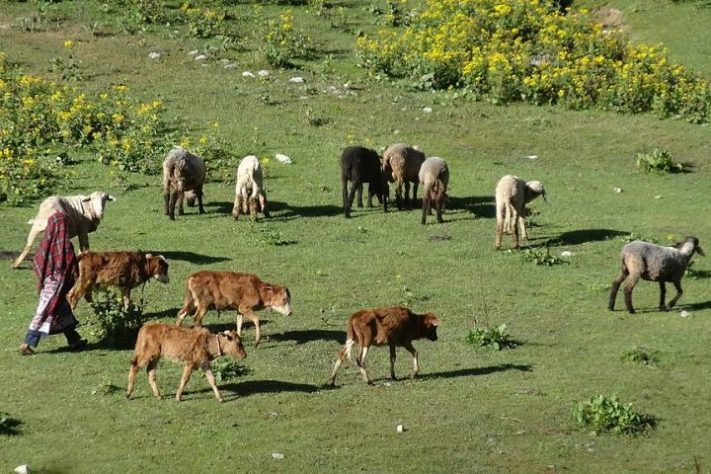 Povo Kohistanis, do Paquistão - Wikimedia Commons/Nisar Akaash Torwali
