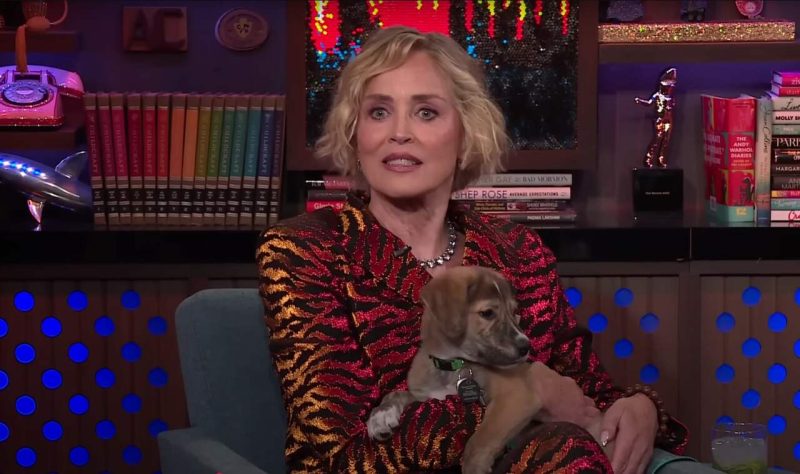 Sharon Stone