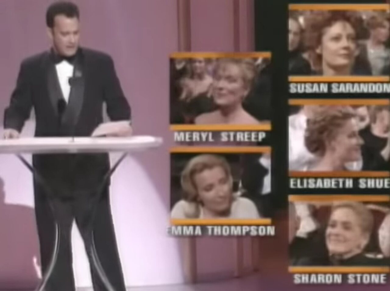 O troféu de Melhor Atriz de 1996  foi concedido a Susan Sarandon por sua atuação marcante em 