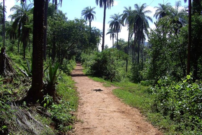 Serra do Cipó, Minas Gerais - kwalldio - Panoramio 
