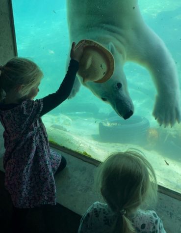 Zoológico de Aalborg, Dinamarca - Reprodução/@aalbordzoo