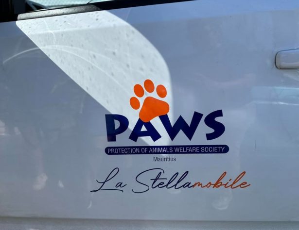 PAWS Mauritius - Reprodução/Instagram