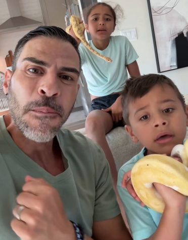 Morador da Flórida convive com 130 cobras dentro de casa - Reprodução/Instagram