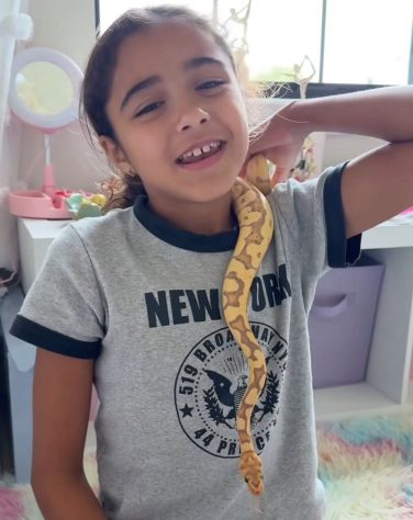 Morador da Flórida convive com 130 cobras dentro de casa - Reprodução/Instagram