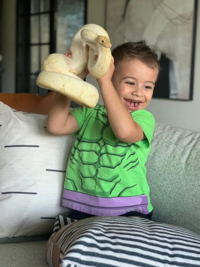 Família americana tem 130 cobras e crianças brincam com elas