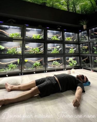 Morador da Flórida convive com 130 cobras dentro de casa - Reprodução/Instagram