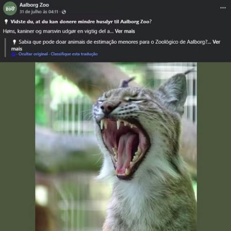 Zoológico da Dinamarca causa polêmica ao pedir doação de animais de estimação para alimentar predadores - Reprodução/Facebook