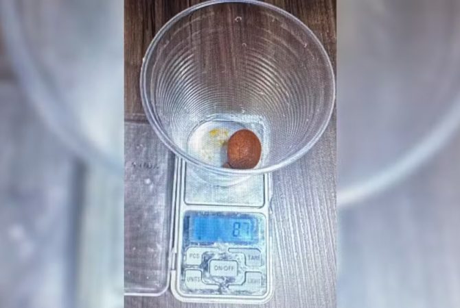 Entenda o que leva alguém a roubar cálculo biliar de boi; homem foi preso em MG