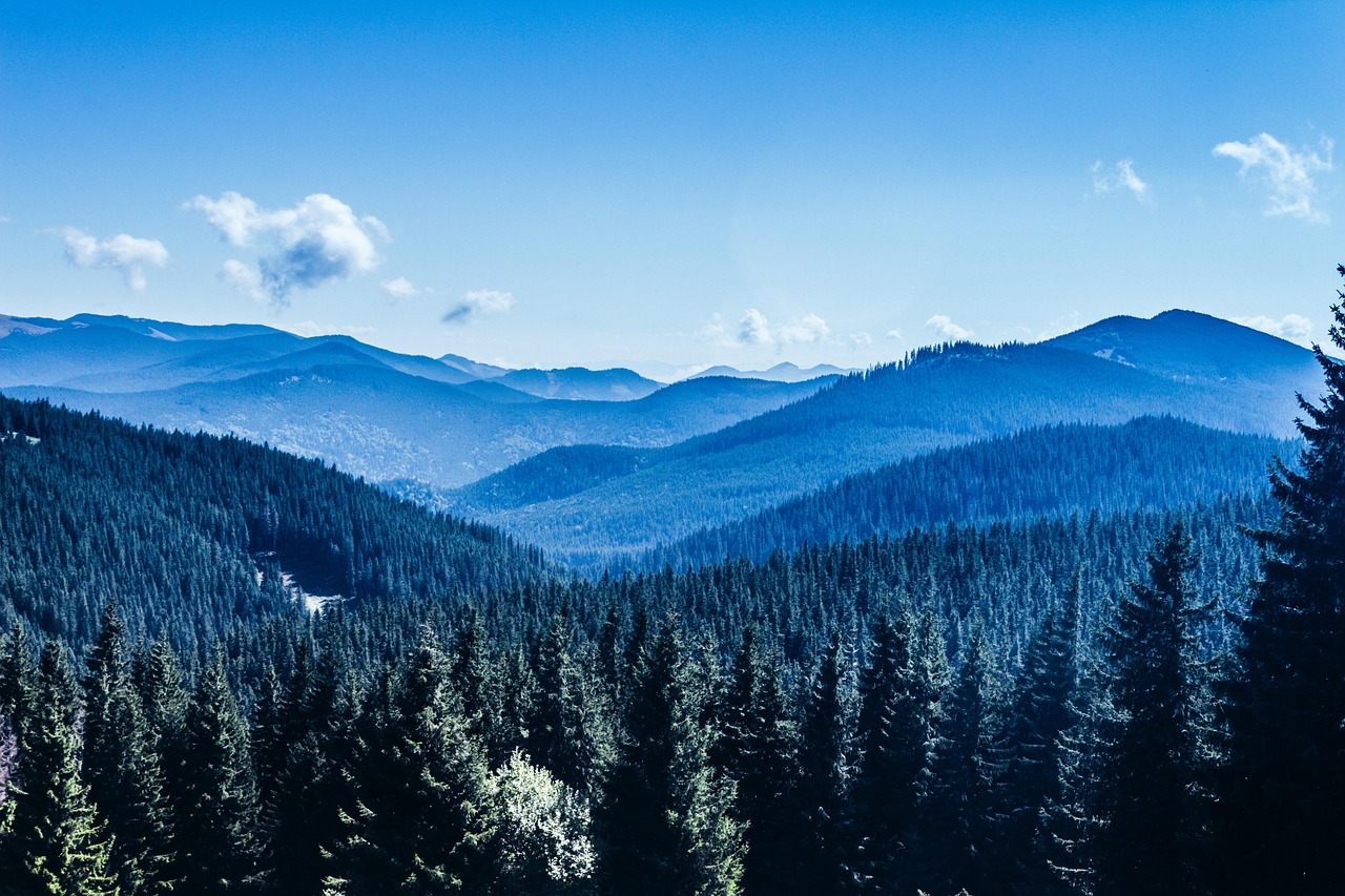 A literatura, ao eternizar os CÃ¡rpatos como lar do conde DrÃ¡cula, deu nova vida Ã  regiÃ£o. Mas a beleza real dessas montanhas vai alÃ©m da ficÃ§Ã£o e convida Ã  contemplaÃ§Ã£o e ao respeito pela natureza.