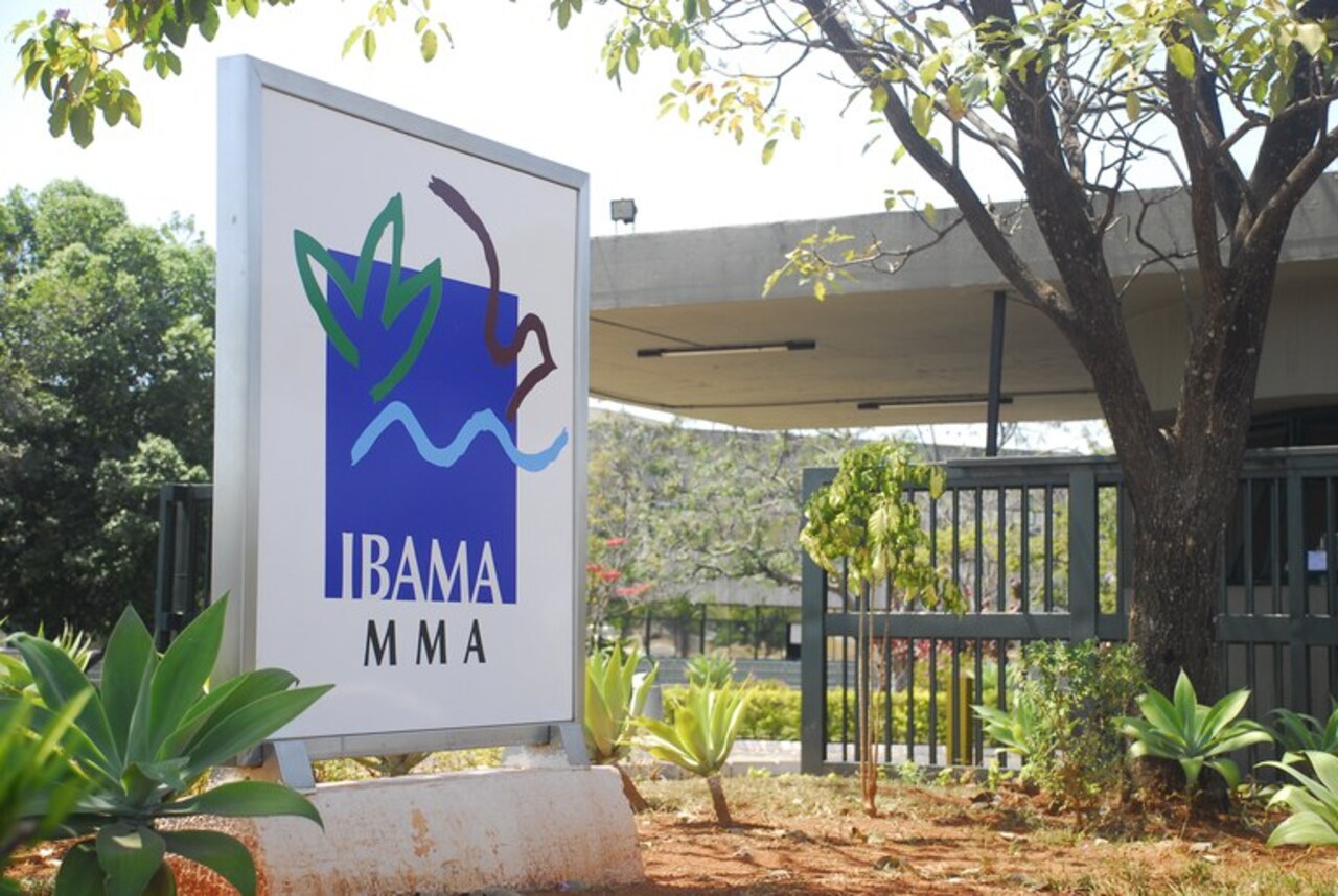 O Ibama informou que a carga não tinha a documentação obrigatória para transporte de espécies que estão na lista da Cites. Assim, foi aplicada multa de R$ 5 mil por espécime, com o valor total superando R$ 1 milhão.

-Divulgação