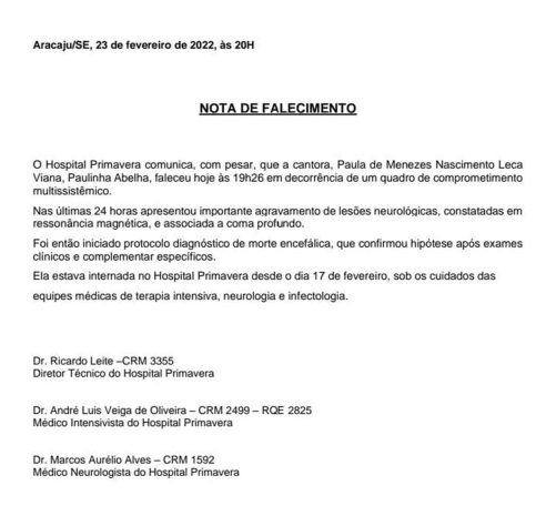 Paulinha Abelha
