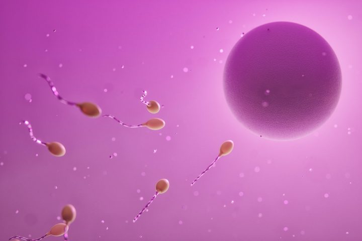 Anos depois, já na menopausa, ela optou por doá-los através de um programa cristão de "adoção de embriões", que conecta doadores a famílias receptoras.-Steffen Erbe/Pixabay