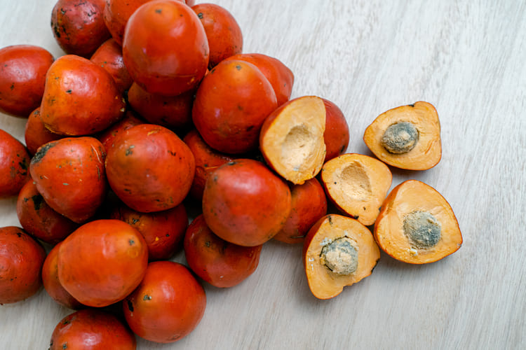 A seriguela pode auxiliar no controle da pressão arterial devido ao seu alto teor de potássio, um mineral essencial para a regulação da pressão sanguínea, e à presença de antioxidantes que contribuem para a saúde cardiovascular. 