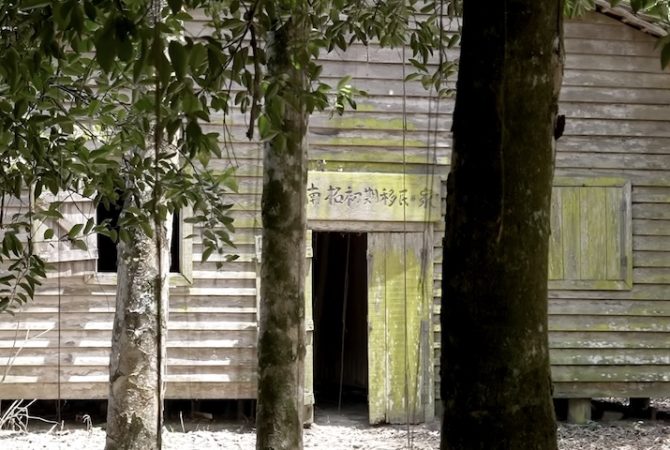 Comunidade japonesa na Amazônia se tornou referência mundial na agricultura sustentável