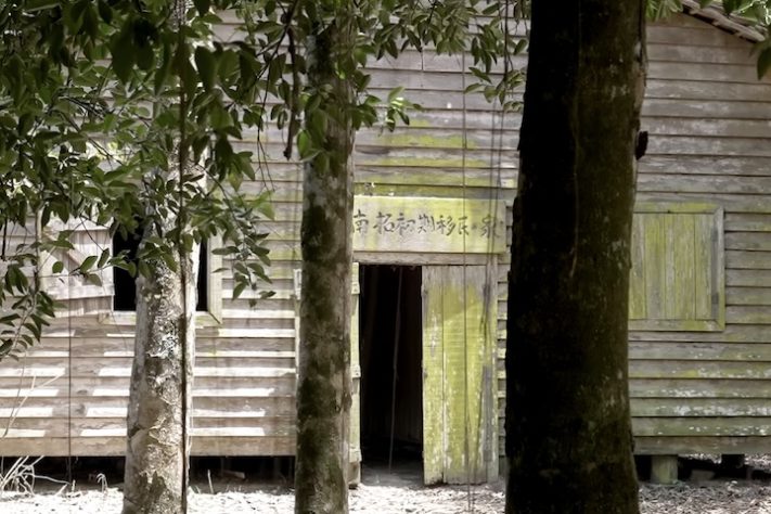 Comunidade japonesa na Amazônia se tornou referência mundial na agricultura sustentável – Reprodução/BBC