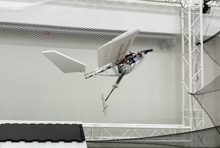 Essa não é a primeira vez que cientistas desenvolvem robôs inspirados em aves. Em dezembro de 2024, cientistas da Escola Politécnica Federal de Lausana (EPFL), na Suíça, apresentaram o RAVEN.