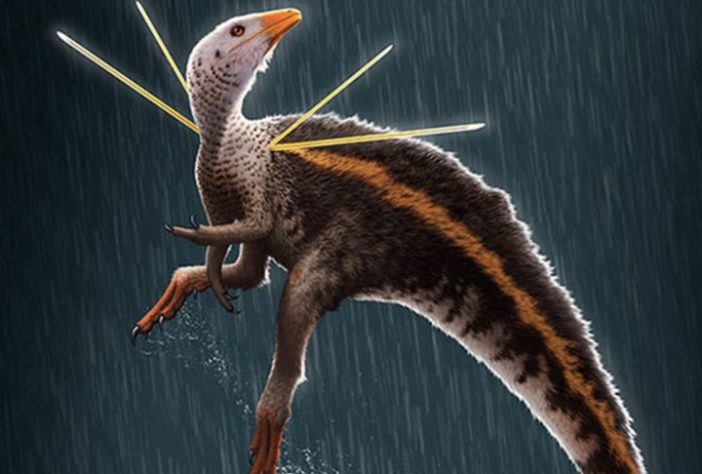 Ubirajara jubatus - Reprodução/Paleocreations