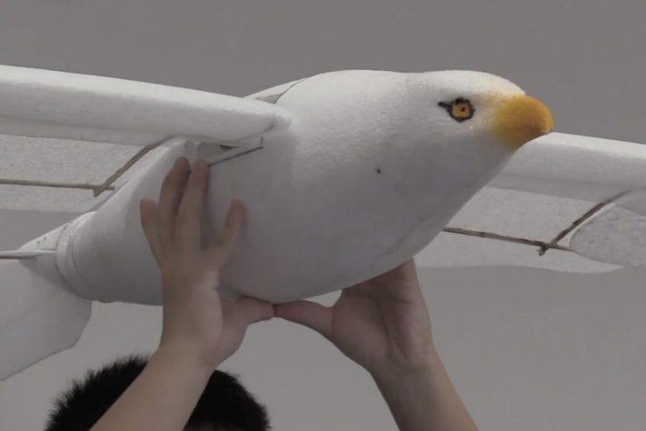 Wind Rider, robô chinês inspirado em aves — Reprodução 