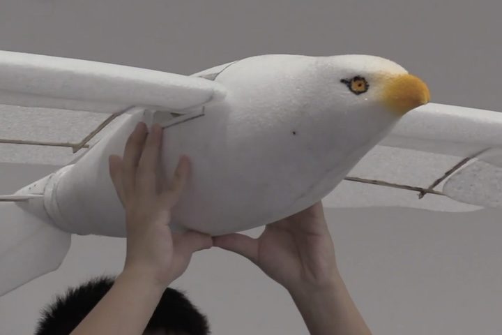 Apresentado na World Robot Conference na China, ele já era capaz de planar com o vento ou voar com energia elétrica. 