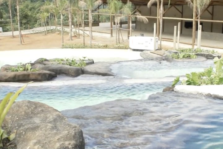 “Há mais de 10 anos não frequentava aqui. Cheguei aqui e vi isso muito abandonado