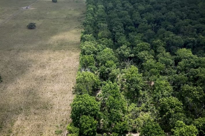 Comunidade japonesa na Amazônia se tornou referência mundial na agricultura sustentável – Reprodução/BBC