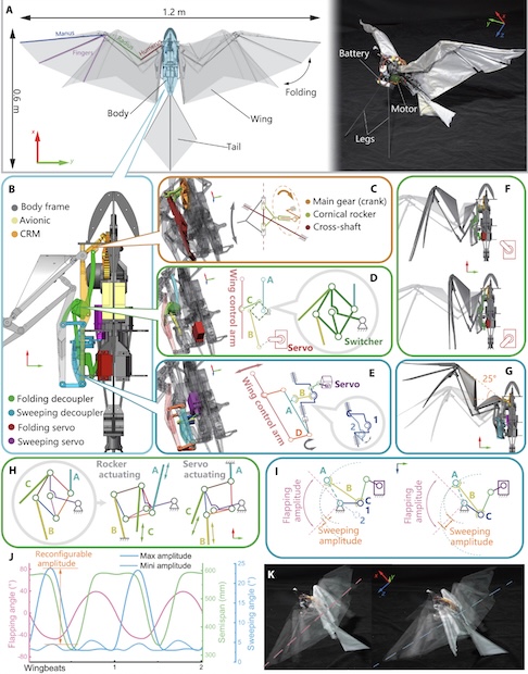 Diferente de robôs anteriores inspirados em insetos, este novo projeto emula o movimento vertebrado tridimensional.