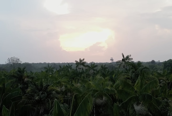 Tudo isso foi superado e hoje o legado do SAFTA é visto como um modelo universal de produção sem destruição, aberto a todos os interessados.