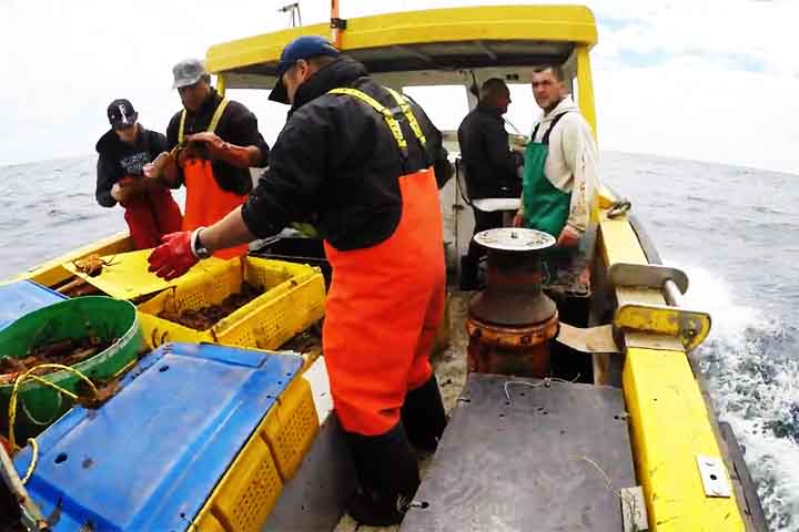 A pesca da lagosta ocorre apenas em determinados períodos - entre 18 e 72 dias por temporada - por conta do clima, das condições do oceano e da necessidade de preservar os estoques. 
