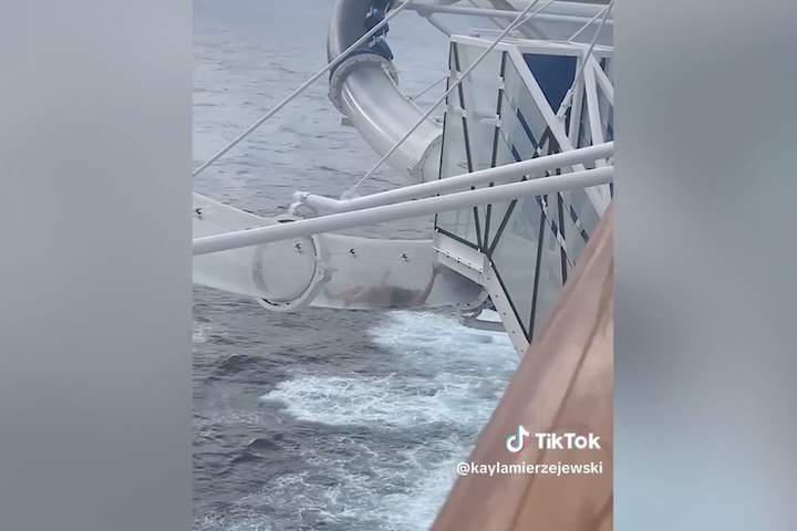 A situação é acompanhada pela voz de alguém surpreso, que exclama: “Meu Deus, ela está literalmente presa!”.