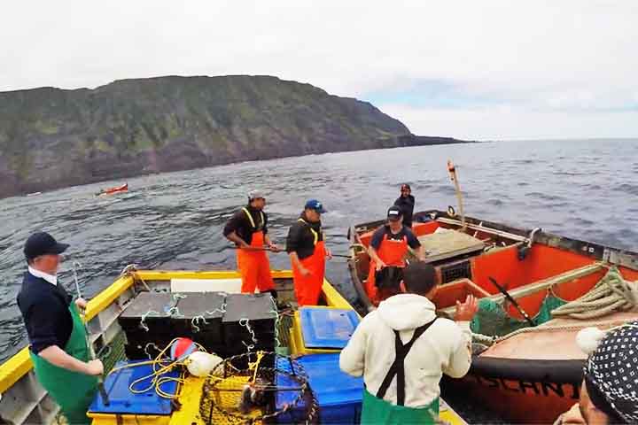 Por isso, cada oportunidade de pesca é vital. Decisões do passado, como a pesca excessiva e a captura de lagostas jovens ou fêmeas com ovos, já haviam levado a reduções significativas na população desses crustáceos.
