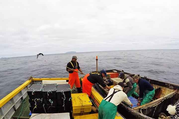Para evitar que o esgotamento da lagosta comprometa não apenas o ecossistema marinho, mas também a própria economia local, os moradores de Tristão da Cunha têm adotado um conjunto de medidas rigorosas de gestão pesqueira. 
