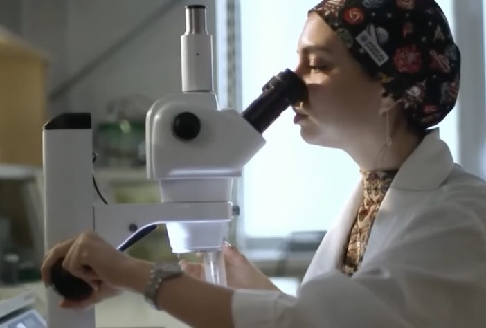 Missão Arca de Noé russa retorna à Terra com 75 ratos e 1500 moscas – Reprodução/Roscosmos