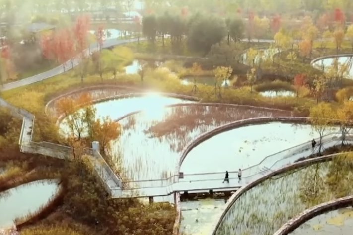 Cidade-esponja, do arquiteto chinês Kongjian Yu — Reprodução/TV Globo