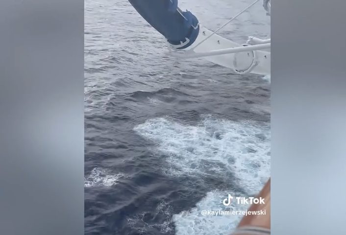 Muitos internautas ficaram assustados ao assistir a cena, já que a mulher estava suspensa a quase 50 metros acima do mar, projetada para fora do navio.