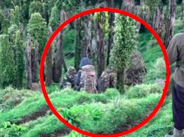 Pai que mantinha filhos sequestrados em floresta é morto pela polícia da Nova Zelândia - Divulgação/Polícia da Nova Zelândia