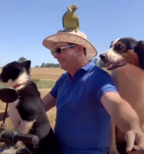 Em sua página, ele compartilhava momentos da rotina na fazenda e de convivência com os animais.