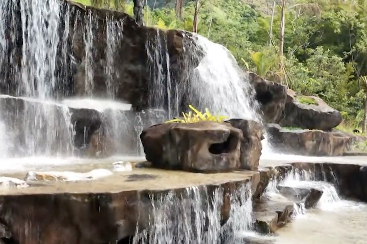 A área ainda conta com 12 mil mudas nativas plantadas e é cadastrada como área de soltura de animais silvestres.