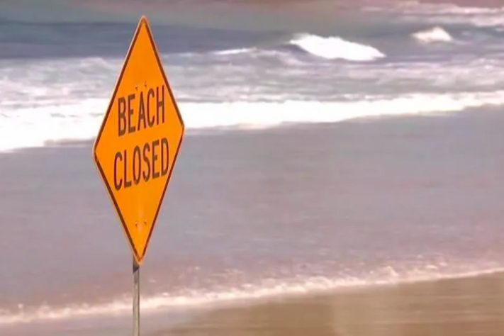 Ataque brutal de tubarão-branco mata surfista em praia de Dee Why, Sydney, Austrália - Reprodução
