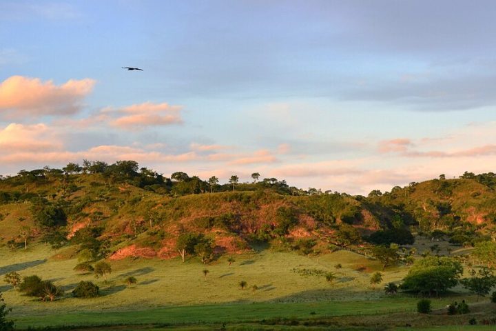Nas últimas décadas, projetos de captação de água da chuva e tecnologias de irrigação adaptadas têm melhorado a segurança hídrica e alimentar das comunidades rurais.